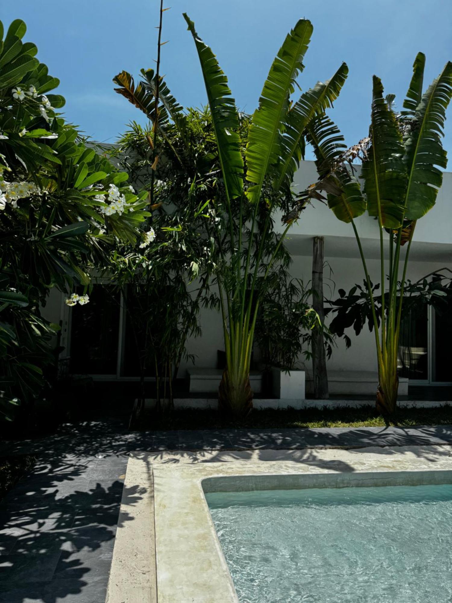 La Base Hotel Kiwengwa (Zanzibar) Exteriör bild